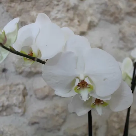 Casa San Giacomo * Poggio Bustone