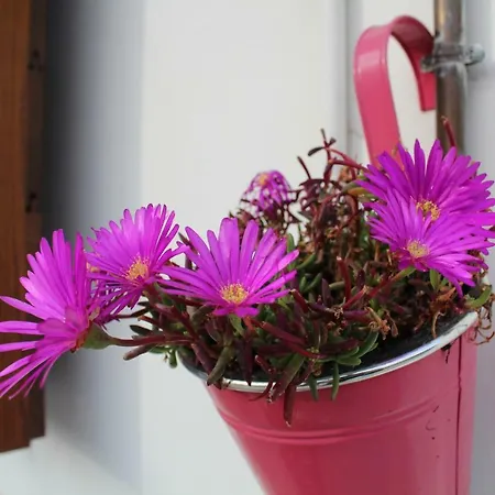 Apartamento Casa San Giacomo *